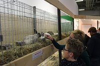 Grüne Woche 2017 in Berlin Bild: Grüne Woche 2017 in Berlin