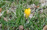 Bild: Spuren des Fr&uuml;hlings