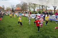 Bild: Bambinis begeisterten