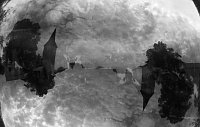 Bild: Spiegelbild in Seifenblase