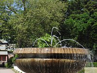 Bild: Lustwandeln im Park von Oranienbaum