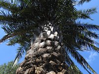 Bild: Lustwandeln im Park von Oranienbaum