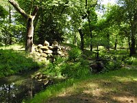 Bild: Lustwandeln im Park von Oranienbaum