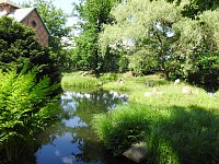 Bild: Lustwandeln im Park von Oranienbaum