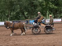 Bild: Breitensporttag am Reiterhof in Uder