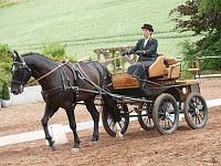 Bild: Breitensporttag am Reiterhof in Uder