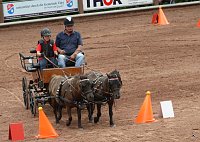 Bild: Breitensporttag am Reiterhof in Uder