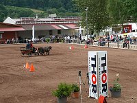 Bild: Breitensporttag am Reiterhof in Uder