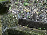 Bild: Quellen sprudeln &uuml;ber im B&auml;renpark
