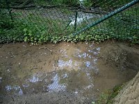 Bild: Quellen sprudeln &uuml;ber im B&auml;renpark