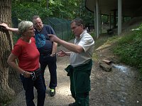 Bild: Quellen sprudeln &uuml;ber im B&auml;renpark