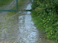 Bild: Quellen sprudeln &uuml;ber im B&auml;renpark