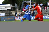 Bild: Wieder nicht belohnt - Wacker verliert bei Hertha