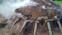 Bild: K&ouml;hlertage an der Arche Nebra