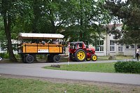 Kindertagsfest im Ferienpark Feuerkuppe Bild: Kindertagsfest im Ferienpark Feuerkuppe