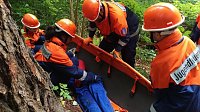 Feuerwehrtag Bild: Feuerwehrtag