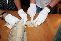 Bild: Historische Dokumente bis ins 15. Jahrhundert gefunden