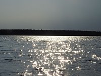 Bild: Lichtspiele am Seelhausener See