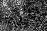 Lost Places im Fokus Bild: Lost Places im Fokus