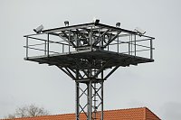 Bild: Tag der offenen T&uuml;r bei der Landespolizeiinspektion NOrdhausen