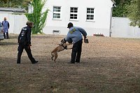 Bild: Tag der offenen T&uuml;r bei der Landespolizeiinspektion NOrdhausen