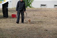 Bild: Tag der offenen T&uuml;r bei der Landespolizeiinspektion NOrdhausen