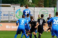 Drei Punkte gegen Halberstadt Bild: Drei Punkte gegen Halberstadt