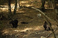Bild: Heute im B&auml;renpark