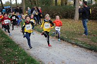 Bild: Stadtparklauf in Sondershausen (2)