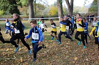 Bild: Stadtparklauf in Sondershausen (2)