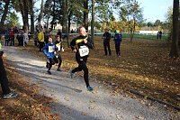 Bild: Stadtparklauf in Sondershausen (2)