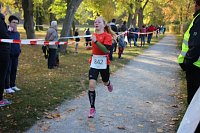 Bild: Stadtparklauf in Sondershausen (2)