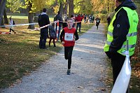 Bild: Stadtparklauf in Sondershausen (2)