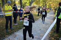 Bild: Stadtparklauf in Sondershausen (2)