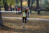 Bild: Stadtparklauf in Sondershausen (2)