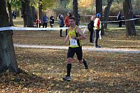 Bild: Stadtparklauf in Sondershausen (2)