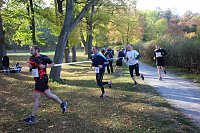 Bild: Stadtparklauf in Sondershausen (2)