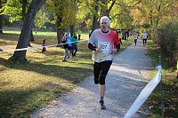 Bild: Stadtparklauf in Sondershausen (2)