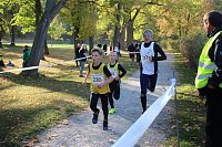 Bild: Stadtparklauf in Sondershausen (2)