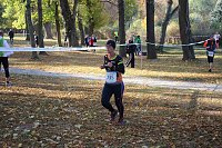 Bild: Stadtparklauf in Sondershausen (2)