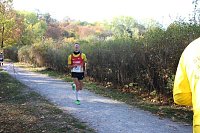Bild: Stadtparklauf in Sondershausen (2)