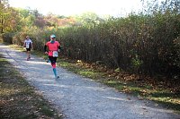 Bild: Stadtparklauf in Sondershausen (2)