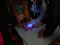 Bild: Projekttag