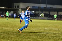 Bild: 4:0 siegt Wacker gegen F&uuml;rstenwalde