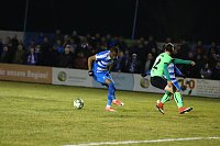 Bild: 4:0 siegt Wacker gegen F&uuml;rstenwalde