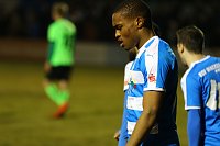 Bild: 4:0 siegt Wacker gegen F&uuml;rstenwalde