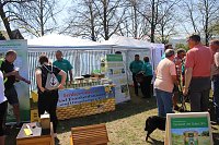 Bild: Gro&szlig;artiger MDR Osterspaziergang in Bad Frankenhausen