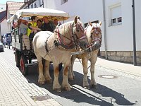 Festumzug in Bildern Bild: Festumzug in Bildern
