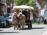 Festumzug in Bildern Bild: Festumzug in Bildern