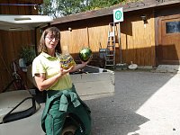 Bild: Spende f&uuml;r den B&auml;renpark